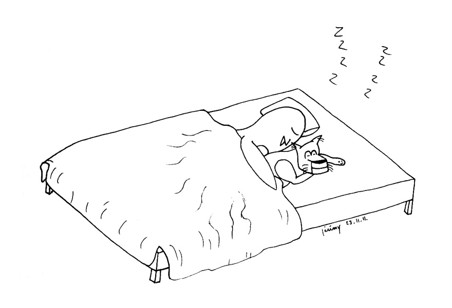 L'hivers au coin de la Lionne