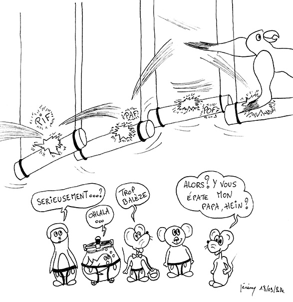 Sur un arbre perché