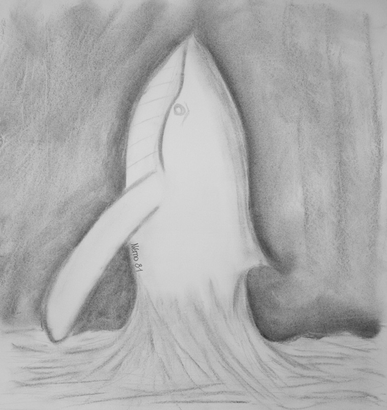 Hommage à  une toute petite baleine d'eau douce